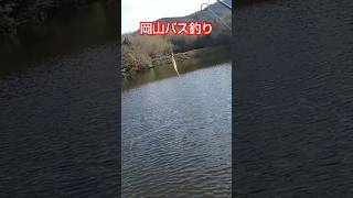 岡山バス釣りダイ  溜池 野池