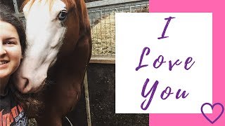 I love you | Roleski ranch horses