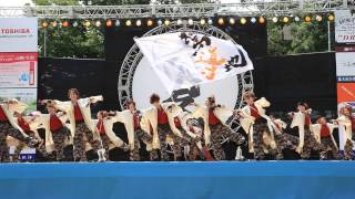 2013 よさこいとやま2日目 驚天導地さん①