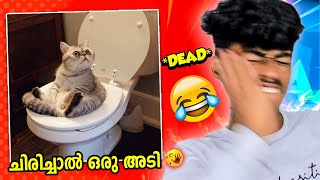 I LAUGH I SLAP | ചിരിച്ചാൽ ഒരു അടി  | Soloviner