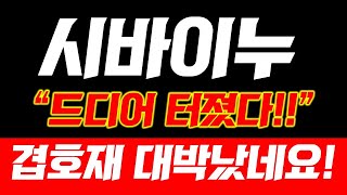 [ 시바이누 ]🚨긴급속보🚨드디어 터졌습니다! 오늘 영상 꼭 보셔야합니다 #시바이누코인 #시바이누호재 #시바이누전망 #시바이누코인전망 #시바이누분석 #시바이누코인분석 #시바이누차트