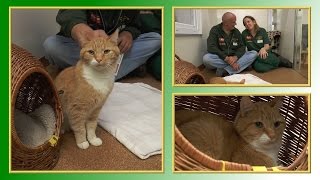 Katzenvermittlung - September/Oktober 2014 (Tierheim Hannover TV)