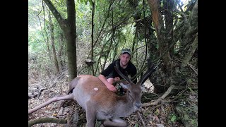 Ruahine Ranges Hunting - Last Hunt of 2020