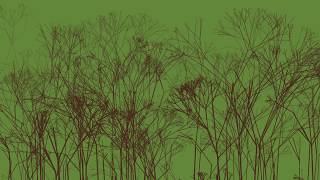 Creating a fractal tree forest using processing