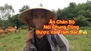 Biệt Đội Chăn Bò Vui Vẻ - Cheerful Cow Herd Team | Ytiet