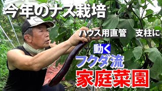 【家庭菜園】今年のナス栽培　ハウス用直管　支柱に（おまかせ菜園フクダ流）