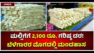 Shankarpura Jasmine Rate Revision: ಗರಿಷ್ಠ 2100 ರೂ. ನಿಗದಿ! ಬೆಳೆಗಾರರ ಮೊಗದಲ್ಲಿ ಮಂದಹಾಸ | Vijay Karnataka