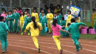 20160326台東成功國小52周年校慶 5年級大隊接力