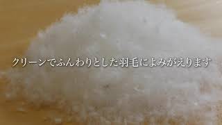 【羽毛ふとんの打ち直し、リフォーム】羽毛工房白州の紹介ムービー（ロング版）