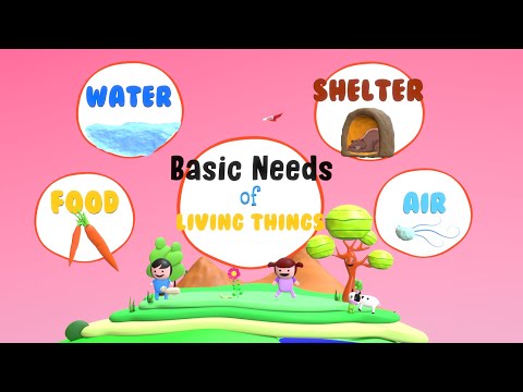 What materials do living organisms need in order to survive?