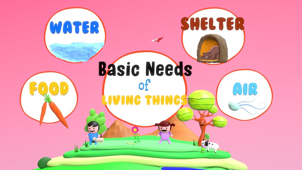 Needs Of Living Things Basic Needs Of Living Things What Do Living