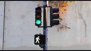 (AFTER) New McCain Countdown Pedestrian Signal (Hawthorn St \u0026 State St)