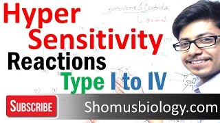 Hypersensitivity reactions| type 1, type 2, type 3 and type 4 hypersensitivity