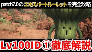 【黄金のレガシー】エキルレ対象Lv100IDその①ギミック解説【FF14】