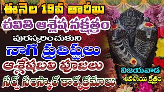 ఈనెల 19 తేదీ చవితి ఆశ్లేషనక్షత్రం సందర్భంగా నాగప్రతిష్టలు ఆశ్లేషబలి పూజలు సర్పసంస్కార కార్యక్రమాలు