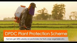 DPDC Plant Protection Scheme