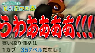 カブで人生が壊れる瞬間【街へいこうよどうぶつの森】