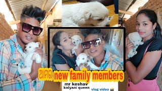 [ଆମର new family members🐶🐶] VLOG VIDEO #mrkeshav #comedyqueen #odisha  #vlogs #video #kalyani