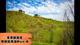 牽車牽都會摔 摔到左右護法 牛屎坑林道Ep.4 CRF Dirt Bike Ride Enduro Off-road 波速爾 獵豹250 小獵豹 第一人稱視角