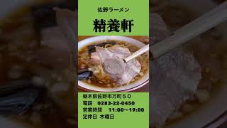 【歴史ある佐野ラーメン店】駅から歩いて行けるお店「精養軒」栃木県佐野市