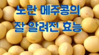 노란 메주콩의 잘 알려진 효능(Well-known benefits of yellow soybeans)