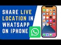 How to share your location on WhatsApp (iPhone) | How to Share Live Location in WhatsApp on iPhone