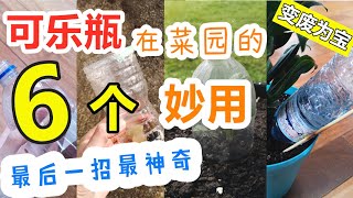 【废物利用】矿泉水瓶使用方法大全💡, 6个技巧对种菜有帮助