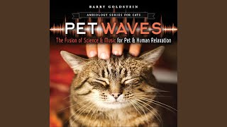 Ambiology Series: Pet Waves for Cats