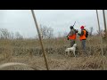 holly hills pheasant preserve tour in south salem ohio upland action