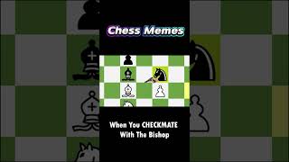 When the Pawn Can’t Move Due to the King’s Pin | Chess Memes