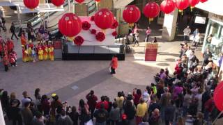 San Diego Shaolin Temple 2017 Chinese Lunar New Year at Macys Part 5