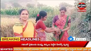 Praja Prathinidhi News//శ్రీ సీతారామచంద్రస్వామి కళ్యాణానికి  కోటి గోటి తలంబ్రాలు