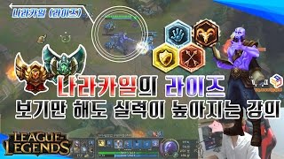 챌린저 나라카일의 롤LOL 미드 라이즈 강의