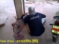 Prem It'Me - ตราบธุรีดิน [95]