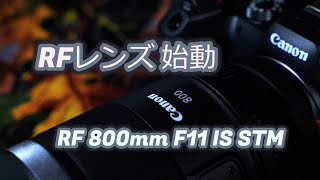 【EOS R7】高い高級レンズじゃなくていい。。RF 800mm F11 IS STM 導入しました。