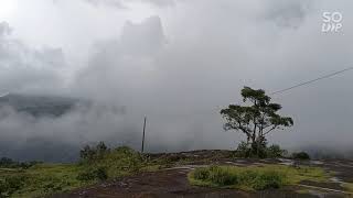 Pullikkanam vagamon