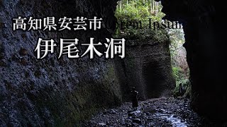 高知県安芸市　伊尾木洞　国道から一歩入れば神秘のシダの世界