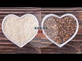 Seeds of Life: Your Heart and Pancreas' Best Friends!