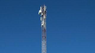 ШОК! ПЧЁЛЫ НЕ ПОГИБЛИ ПОД ВЫШКОЙ 4G