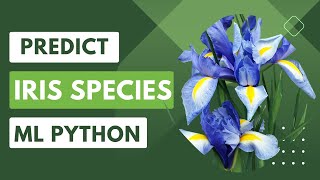 Predict Iris Species in Python with ML: A Step-by-Step Guide