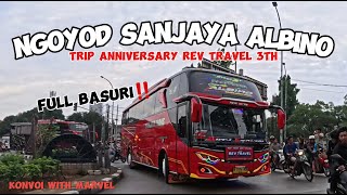 NGOYOD ‼️SANJAYA TRANS ALBINO FULL BASURI‼️ TRIP ANNIVERSARY REV TRAVEL