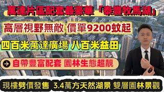 萬達片區配套最靚最齊全百萬大盤「泰豐牧馬湖」精裝現樓價單9200蚊起，首期1萬，3.4萬方天然湖景，400米萬達800米益田，東聯市場！#惠州房產#惠州房價#惠州樓盤#惠州樓價#泰豐牧馬湖#大亞灣樓盤