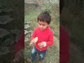 must video😁😄😎 the noor saifi shortvideo funny cute thenoorsaifi youtube