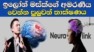 ඉලෝන් මස්ක්ගේ අමරණීය වෙන්න පුළුවන් තාක්ෂණය | Elon Musk's neuralink project