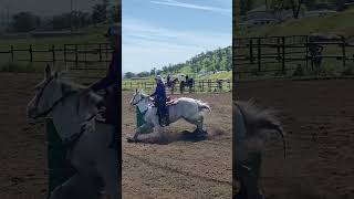 Leg Lift. #barrelracing #rodeo #breeze #cowgirls #1d