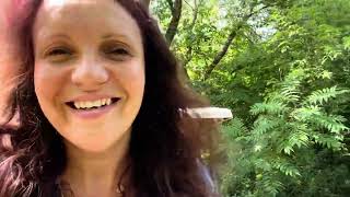 Saturday stillness session reminder with Cezarina Trone: Sept 2nd