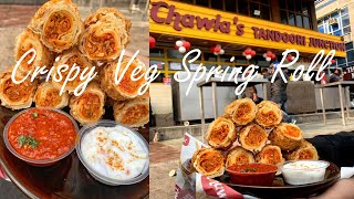 Crispy Kurkure Chowmein Stuffed Vegetarian Spring Roll - 285 Rs Chawla Tandoori Junction #Shorts