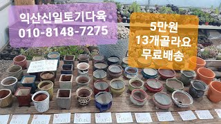 (익산신일토기다육)#다육화분#골라요♡13개5만원♡무료배송♡010-8148-7275