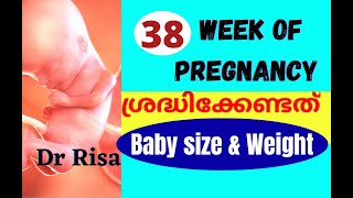 38 Week of Pregnancy Malayalm | 9 Month Pregnancy Care