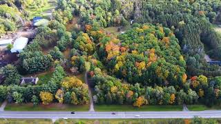 Tranquil 10-Acre Brick Bungalow - Your Dream Retreat | 1962 Home | 45 Mins to Toronto |